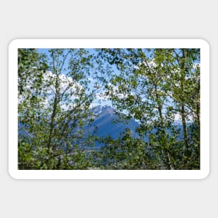 Colorado Mountain 3 Sticker